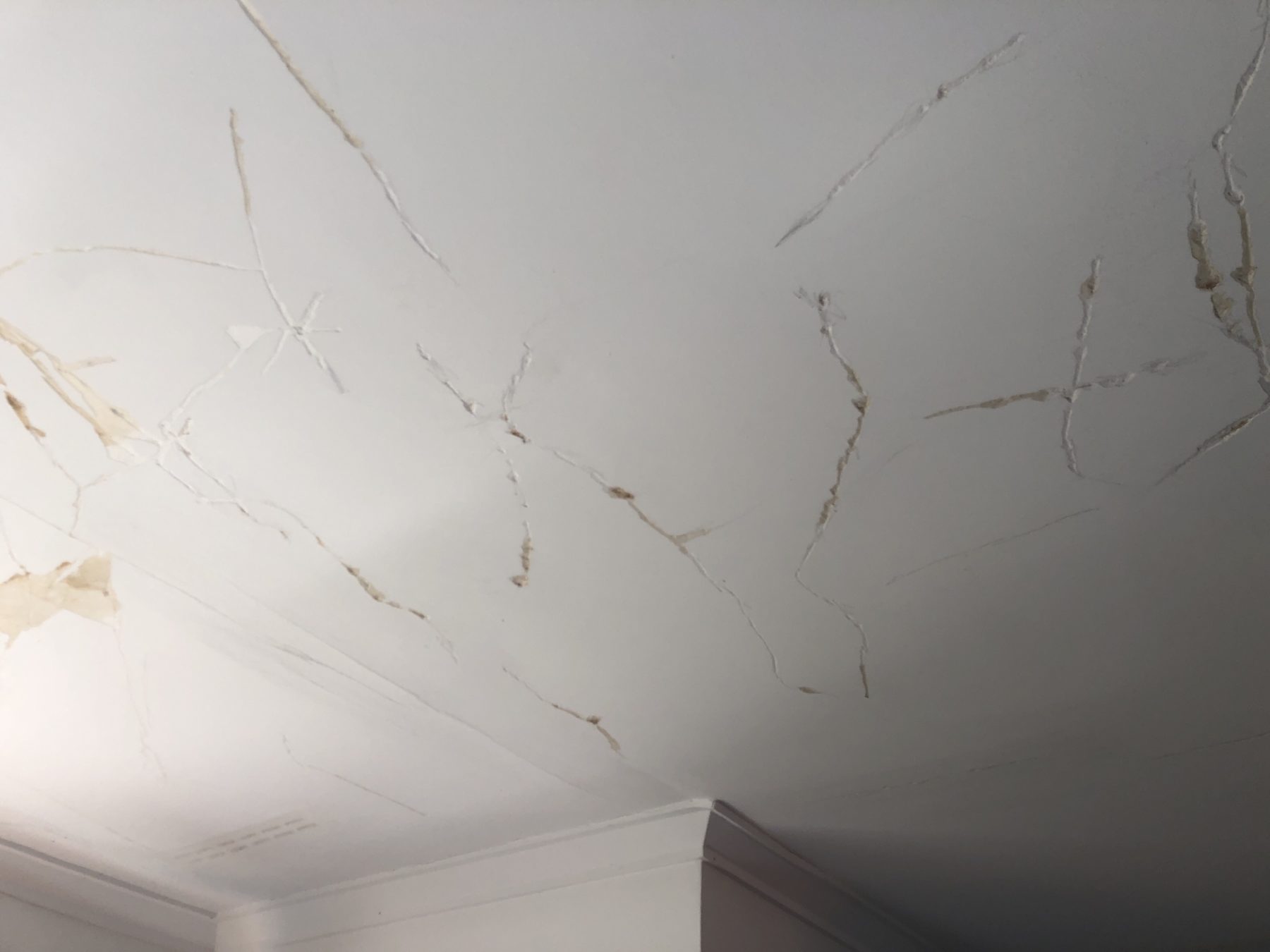 Plasterglass ceiling repair